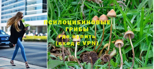 бутират Баксан